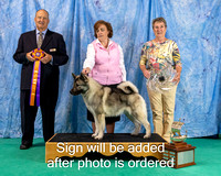 Dogshow 2024-06-30 NEINEA 2024 Win Photos--121218