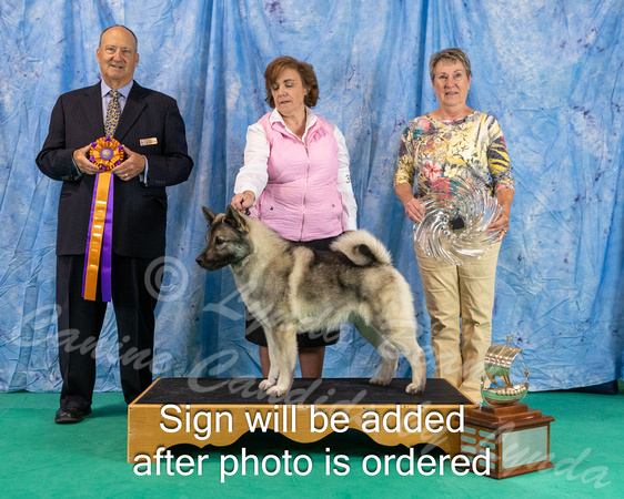 Dogshow 2024-06-30 NEINEA 2024 Win Photos--121218