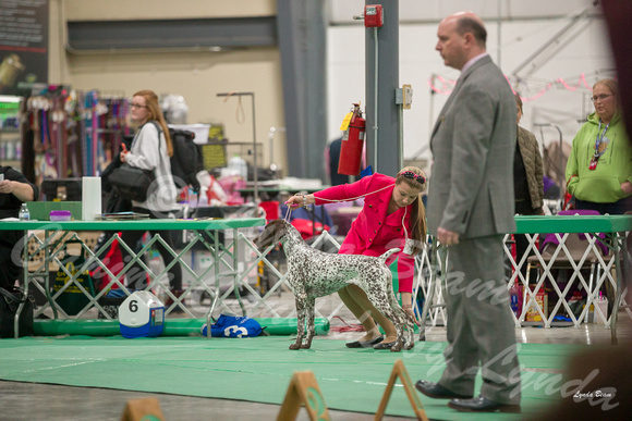 Dogshow 2018-01-26 Grayslake Day 2--174640-2