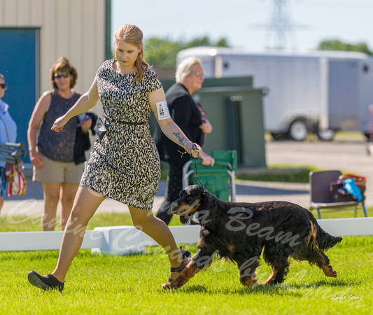 Dogshow 2022-06-17 Northeastern Illinois Kennel Club--152423-3