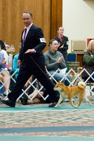 Nov 18 2011 NSCA Parent Specialty, Best of Breed Comp.
