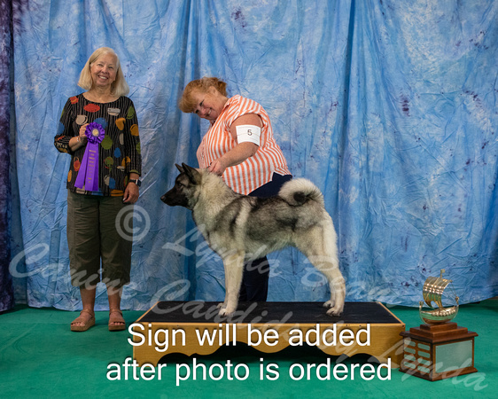 Dogshow 2024-06-29 NEINEA 2024 Win Photos--110708