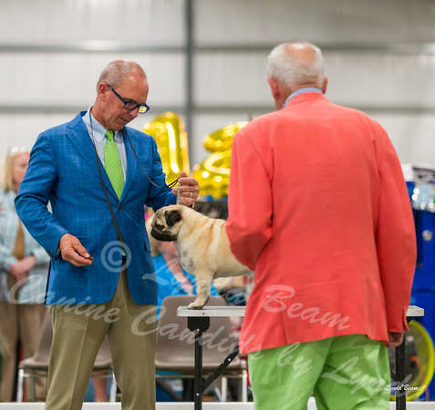 Dogshow 2022-06-15 Starved Rock KC--141703