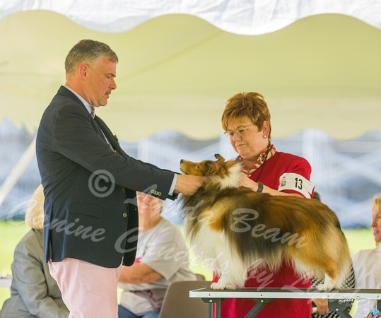 Dogshow 2022-06-17 Northeastern Illinois Kennel Club--152823