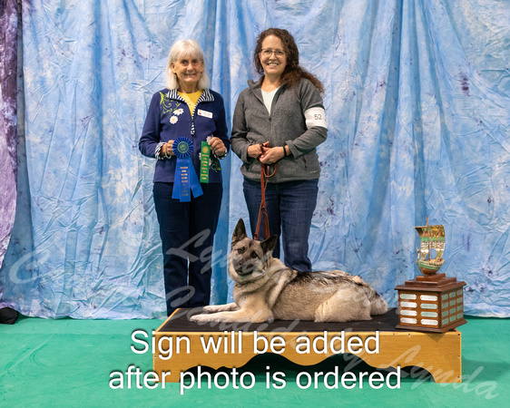 Dogshow 2024-06-30 NEINEA 2024 Win Photos--100340