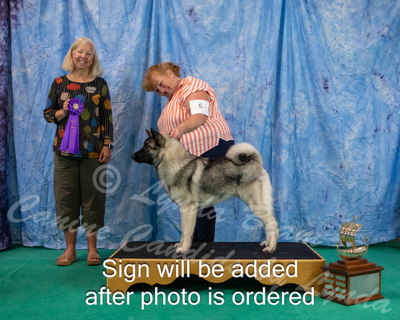 Dogshow 2024-06-29 NEINEA 2024 Win Photos--110707-2