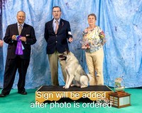 Dogshow 2024-06-30 NEINEA 2024 Win Photos--122250