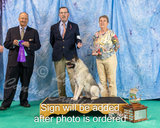 Dogshow 2024-06-30 NEINEA 2024 Win Photos--122250