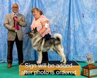 Dogshow 2024-06-29 NEINEA 2024 Win Photos--142210