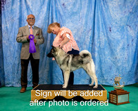 Dogshow 2024-06-29 NEINEA 2024 Win Photos--142756