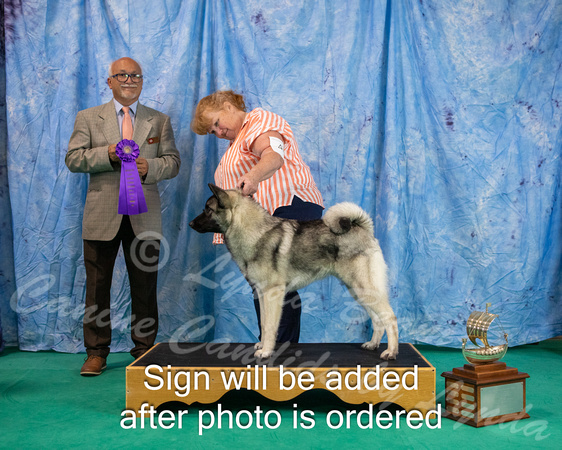 Dogshow 2024-06-29 NEINEA 2024 Win Photos--142756