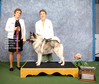 Dogshow 2022-07-03 NEINEA Win Photos --114237-2