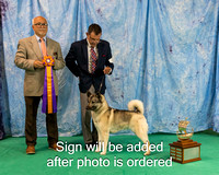 Dogshow 2024-06-29 NEINEA 2024 Win Photos--141659