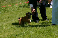 20100514 Nippo Classic May 2010 - Sweepstakes