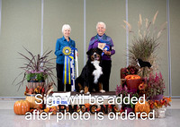 Dogshow 2024-10-26 BMDCNI Day 2--111349