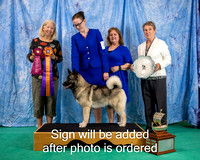 Dogshow 2024-06-29 NEINEA 2024 Win Photos--105503