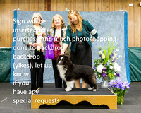 Dogshow 2022-04-09 ISSC Win Photos --130352