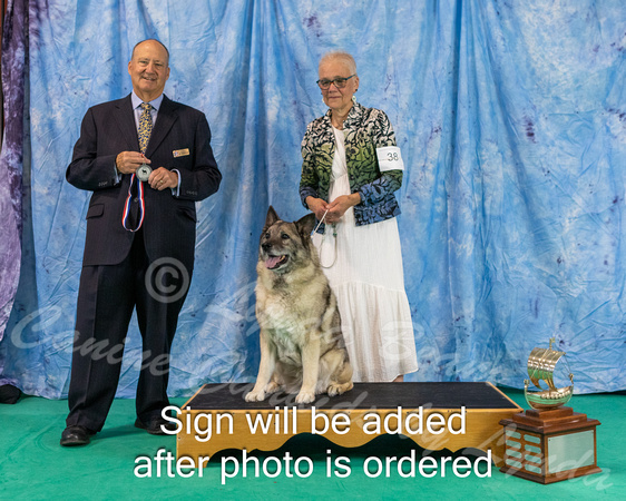 Dogshow 2024-06-30 NEINEA 2024 Win Photos--121856-2