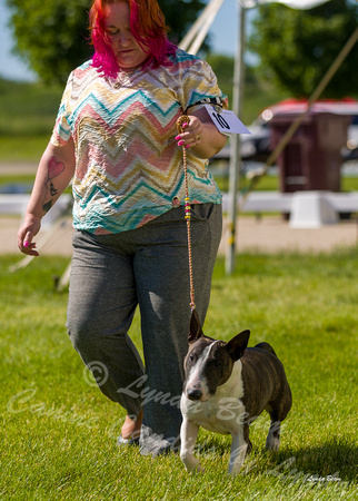 Dogshow 2022-06-17 Northeastern Illinois Kennel Club--153003-4