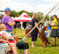 Dogshow 2022-07-30 Waukesha KC--121135