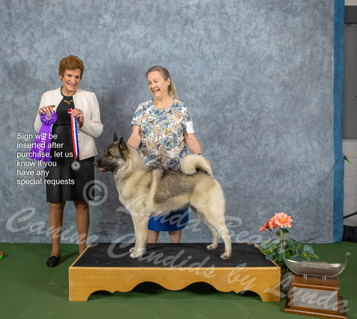 Dogshow 2022-07-03 NEINEA Win Photos --115246