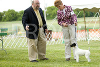 20120602 Best Bred By Exhibitor in Show