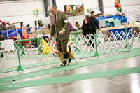 Dogshow 2016-01-29 Grayslake--184000-2
