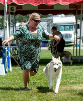 Dogshow 2022-08-01 Burlington WI KC--122056