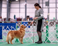 Dogshow 2018-01-25 Grayslake Day 1--172603