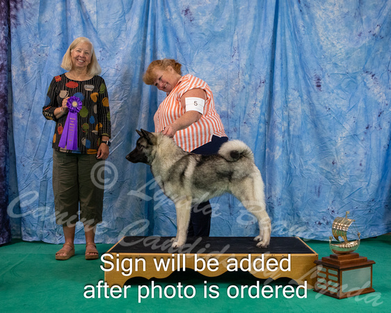 Dogshow 2024-06-29 NEINEA 2024 Win Photos--110708-2