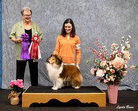 Dogshow 2025-04-05 2025 Interlocking SSC of Monee Win Photos --152221