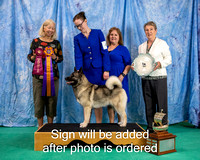 Dogshow 2024-06-29 NEINEA 2024 Win Photos--105431