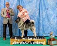 Dogshow 2024-06-29 NEINEA 2024 Win Photos--142320