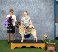 Dogshow 2022-07-03 NEINEA Win Photos --115245-3