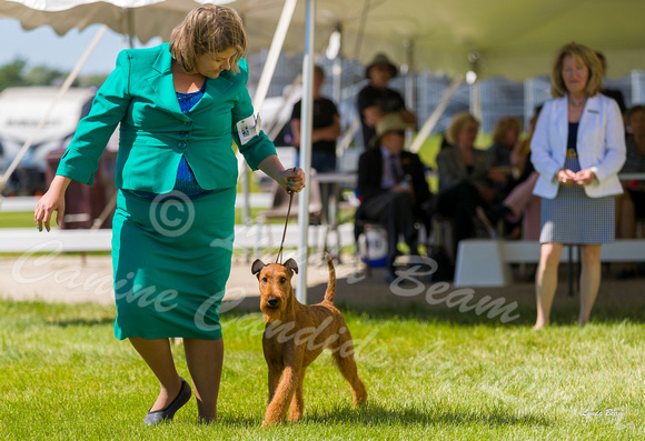 Dogshow 2022-06-17 Northeastern Illinois Kennel Club--143130-3