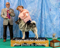 Dogshow 2024-06-29 NEINEA 2024 Win Photos--142321