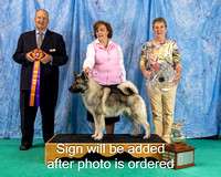 Dogshow 2024-06-30 NEINEA 2024 Win Photos--121218-2