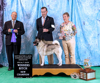 Dogshow 2024-06-30 NEINEA 2024 Win Photos--122315-2