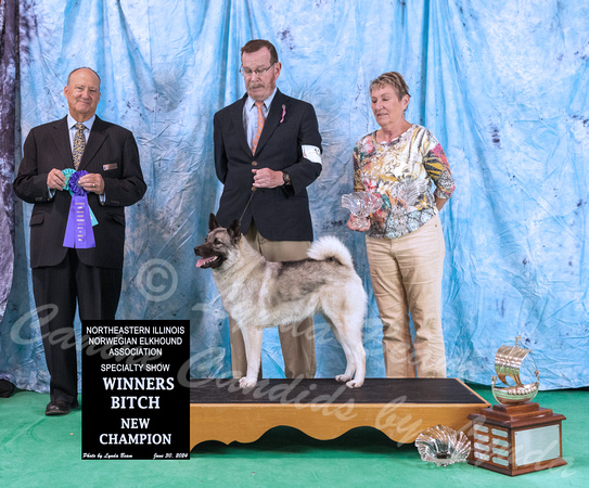 Dogshow 2024-06-30 NEINEA 2024 Win Photos--122315-2