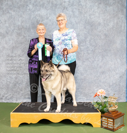 Dogshow 2022-07-03 NEINEA Win Photos --093142