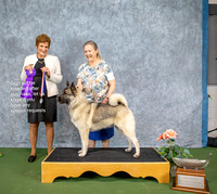 Dogshow 2022-07-03 NEINEA Win Photos --115244