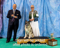 Dogshow 2024-06-30 NEINEA 2024 Win Photos--121857