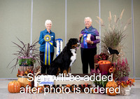 Dogshow 2024-10-26 BMDCNI Day 2--111624