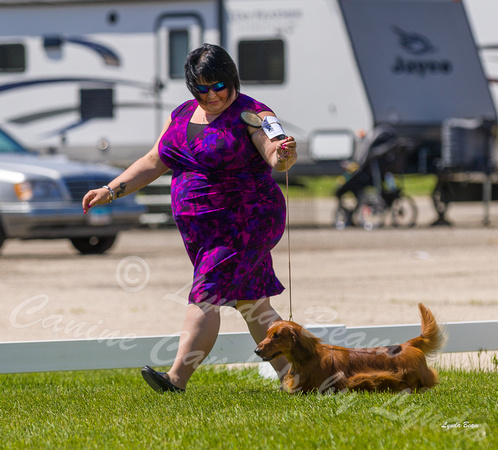 Dogshow 2022-06-17 Northeastern Illinois Kennel Club--132016-3