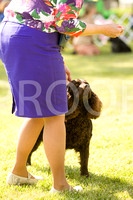 20120602 Sporting Group & Breeds
