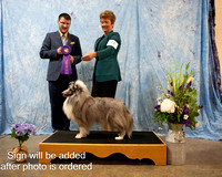 Dogshow 2025-03-01 CSSC Win Photos Day 1 --132045