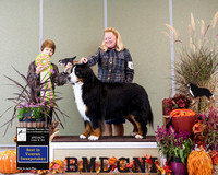 Dogshow 2024-10-26 BMDCNI Day 2--132012