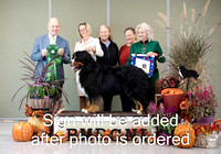 Dogshow 2024-10-26 BMDCNI Day 2--164947