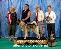 Dogshow 2024-06-29 NEINEA 2024 Win Photos--105719-3