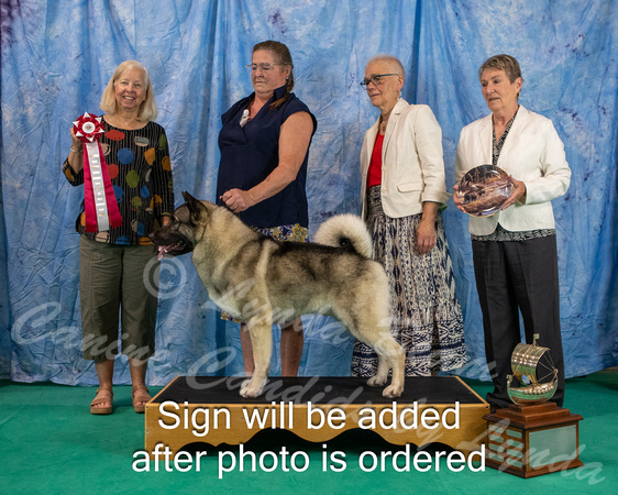 Dogshow 2024-06-29 NEINEA 2024 Win Photos--105719-3